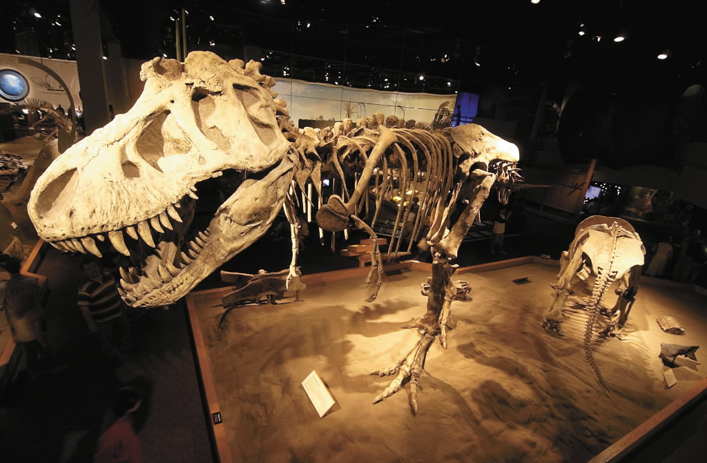 Drumheller in running for dino capital of the world - image