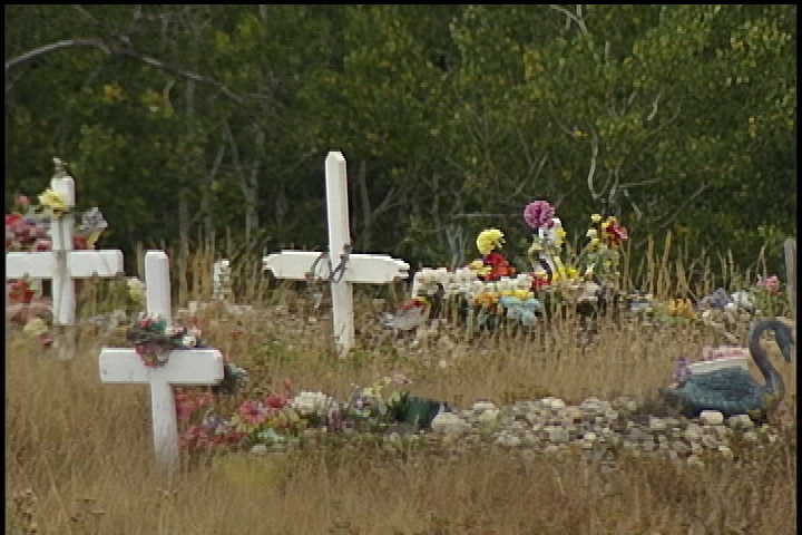 Man in custody in connection with Calgary infant’s death - image