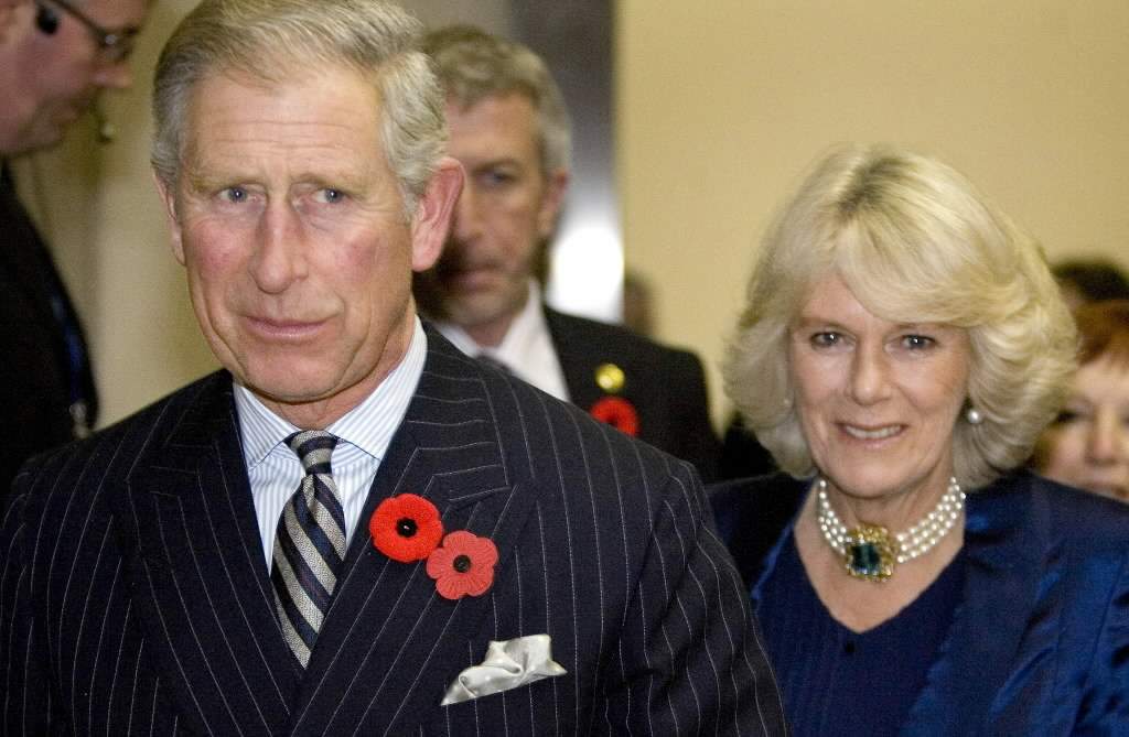 Prince Charles talks social responsibility with Ont. business leaders - image