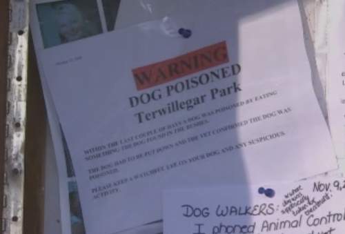 Dog poisonings at Terwillegar a hoax? - image