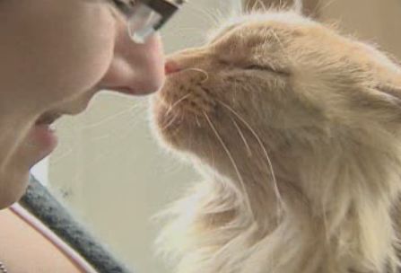 Wetaskiwin cat saves owner’s life - image