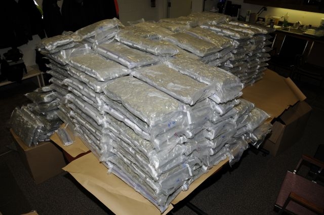 Massive drug bust - image