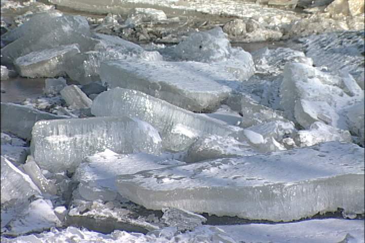 All eyes on river near Selkirk - image