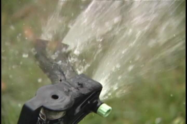 Kelowna parks will adhere to watering restrictions - image