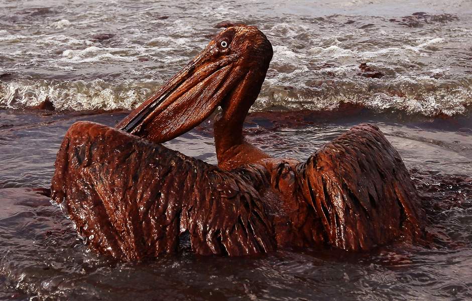 BP manages to capture some leaking oil - image