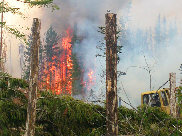 Province has spent $100 million fighting wildfires this year, way down from 2015 - image