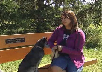 Deaf woman and her dog attacked in Edmonton - image