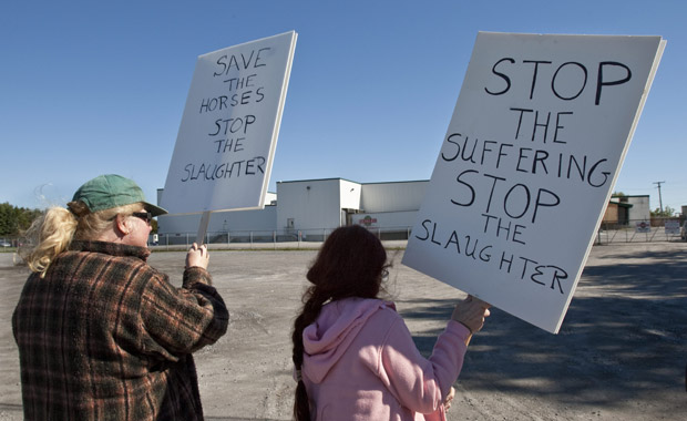 Horse-lovers demonstrate in Montreal, urge end to slaughter - image