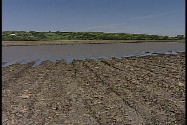 Northeast Sask. livestock producers receive tax deferrals due to heavy rains - image