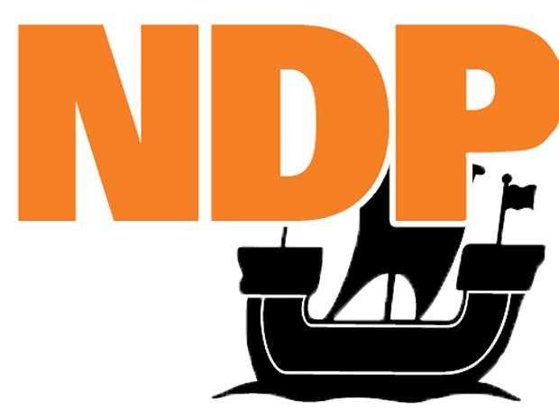 Ex-campaign director tosses hat in ring for N.B. NDP leadership - image