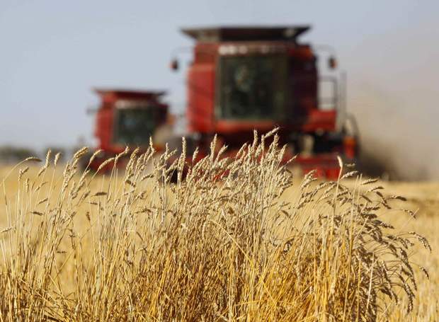 Chartered bank foresees reduced financial hit from damaging Prairie rains - image