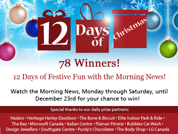 12 Days of Christmas Contest - image