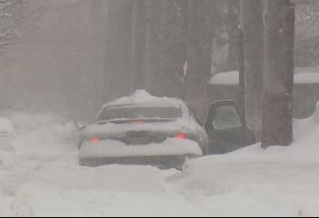 Snowstorm hits Edmonton hard - image
