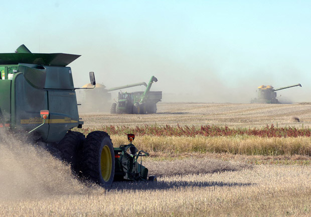 Two new agricultural research centres launched - image