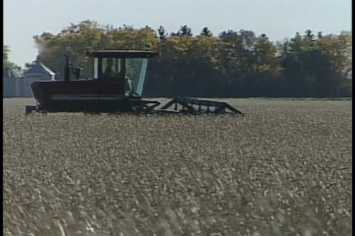 Canadian farmers optimistic about future despite wet 2010 growing ...