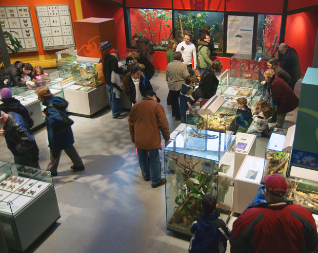 Insectarium closed for $1.2-million renovation - image