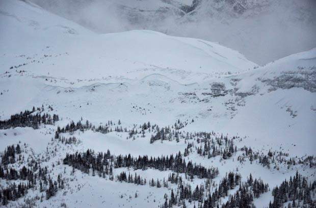 Avalanche survival tips - image