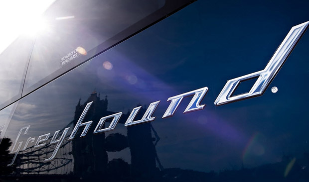 Passengers who witnessed Greyhound beheading seeking $6M in lawsuits - image