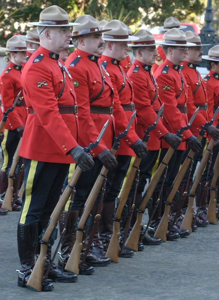 “Obese” Mounties working to tighten belts - image