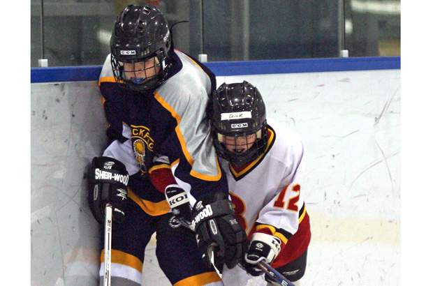 Talks underway to install live streaming youth hockey video from Calgary rinks - image