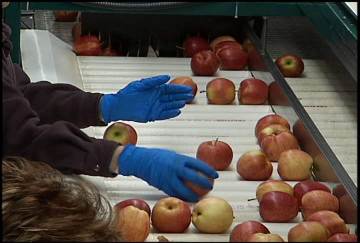 Rotten news for packing house workers - image