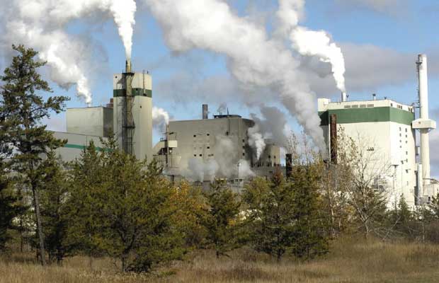 Paper Excellence to invest $200 million in idled Domtar mill - image