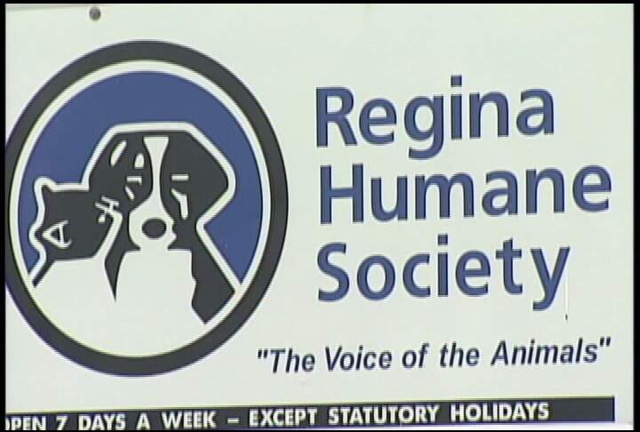 Regina Humane Society launches Mobile Spay and Neuter Clinic - image