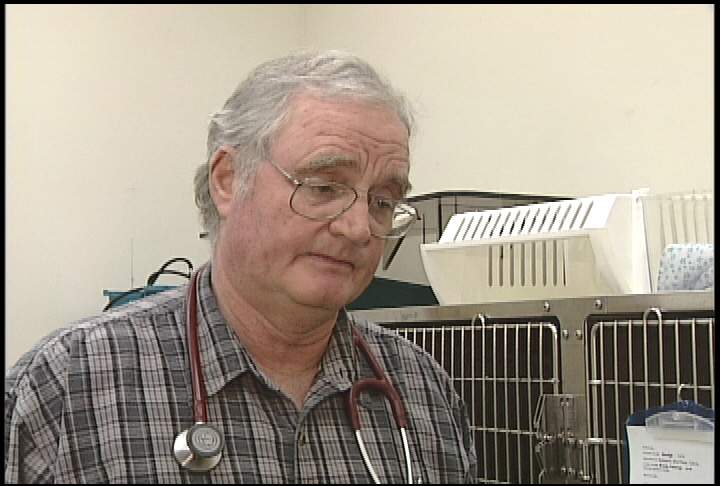 Veterinarian guity of unprofessional conduct - image