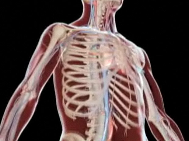 Studies question idea that narrowed neck veins are primary cause of MS - image