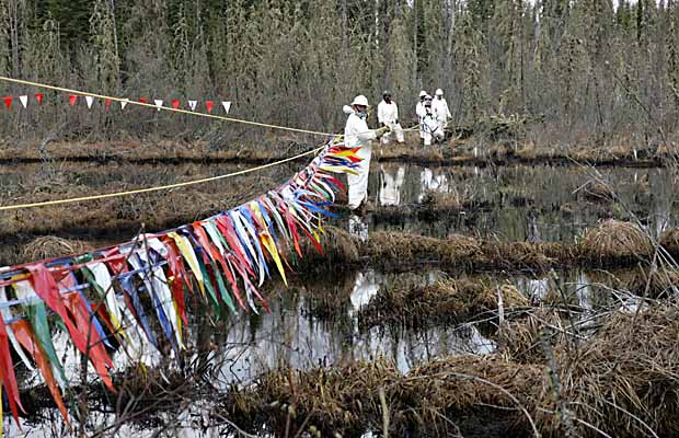 Alberta oil pipeline spill will take years to clean up: Environmentalist - image
