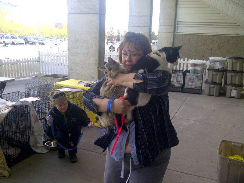 Slave Lake Trained volunteers help pets, people - image