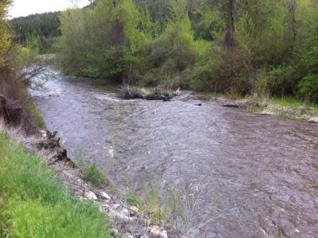 Flood watch for Salmon River - image