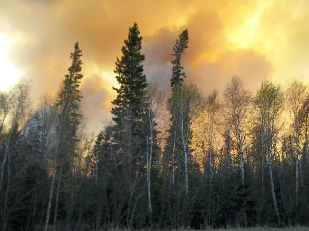 Homes burning down as thousands flee Alberta town following wildfire - image