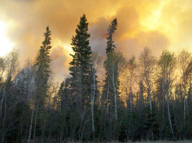 Ontario sending help to battle massive Alberta wildfire - image