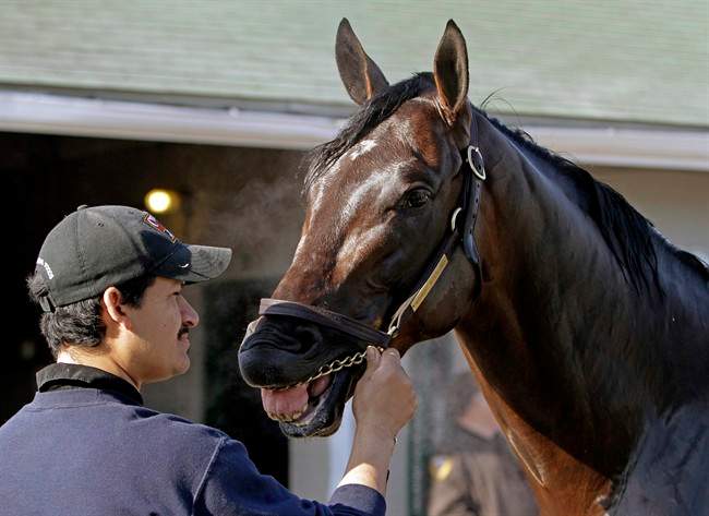 Jose Berrara holds Kentucky Derby entrant Midnight Interlude while it gets a bath after a morning workout at Churchill Downs Thursday, May 5, 2011, in Louisville, Ky. (AP Photo/Garry Jones).
