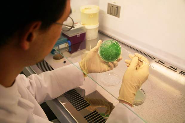 Scientists find mutations in a single gene linked to most ovarian tumours - image