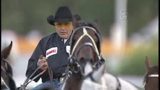 Horses competing in the Rangeland Derby get microchip implants - image