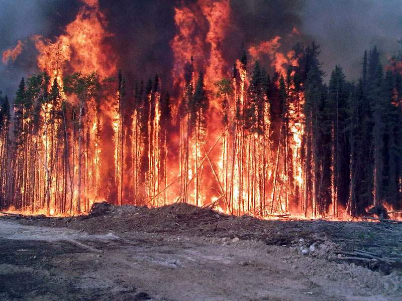 Massive northern Alberta wildfire continues to grow - image