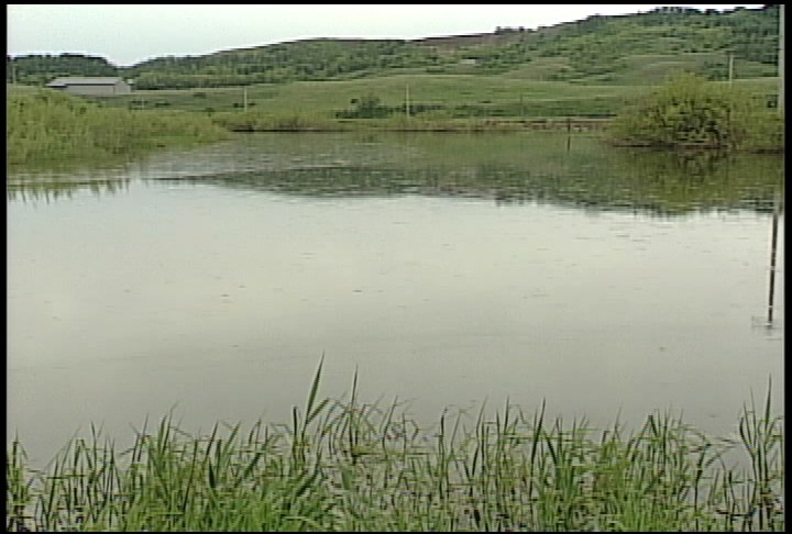 Work underway to make sure Craven Jamboree happens - image