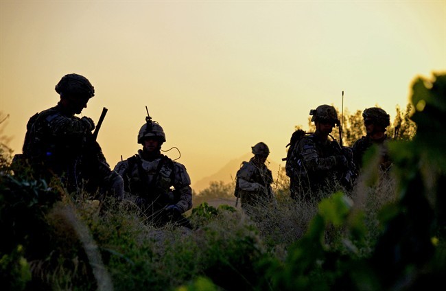 American and Canadian soldiers pick their way through a grapefield at sunrise on Thursday June 2, 2011, for a joint patrol, in Zangabad, Afghanistan. 