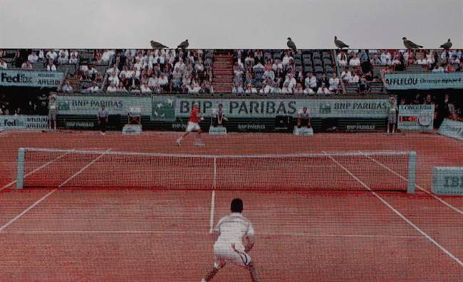 Pigeons are perched on an electronic screen showing Roger Federer of Switzerland, rear, and Novak Djokovic of Serbia front, in the semi final match of the French Open tennis tournament in Roland Garros stadium in Paris, Friday June 3, 2011. (AP Photo/Christophe Ena).