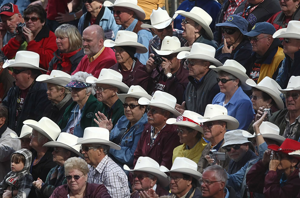 Stampede fascinators tip cap to William and Kate - image