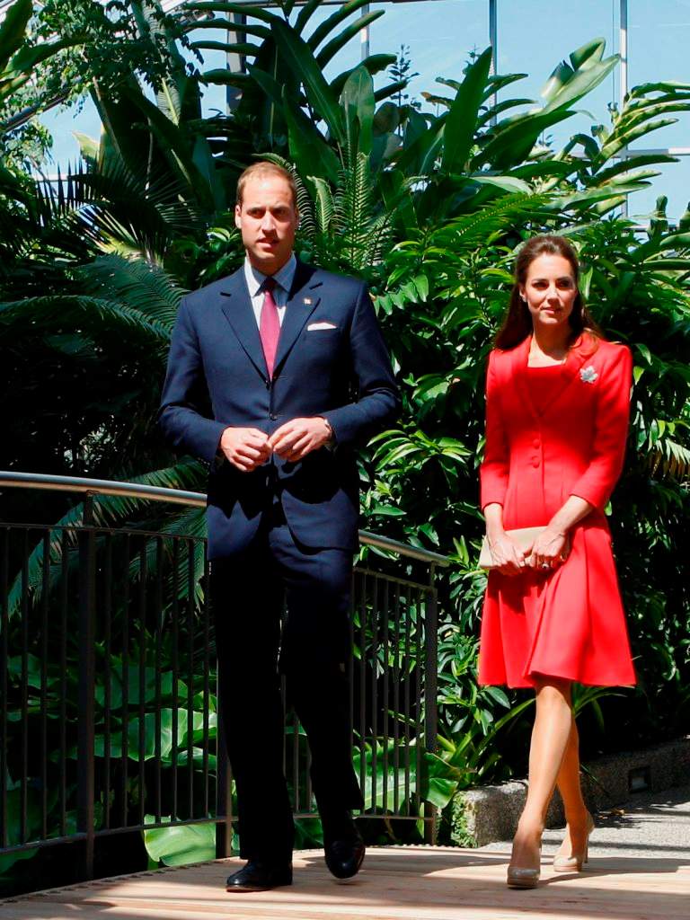 William and Kate walk amongst flowers at Calgary Zoo conservatory on final day - image