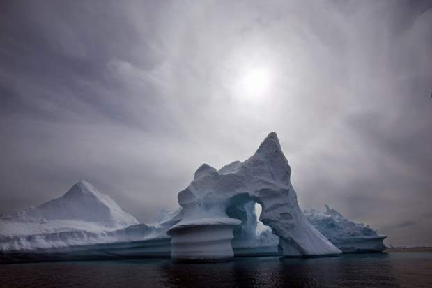 Newfoundland ice island triggers Arctic ice worries - image