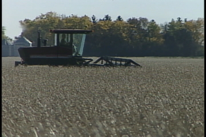 Saskatchewan crops starting to make progress - image