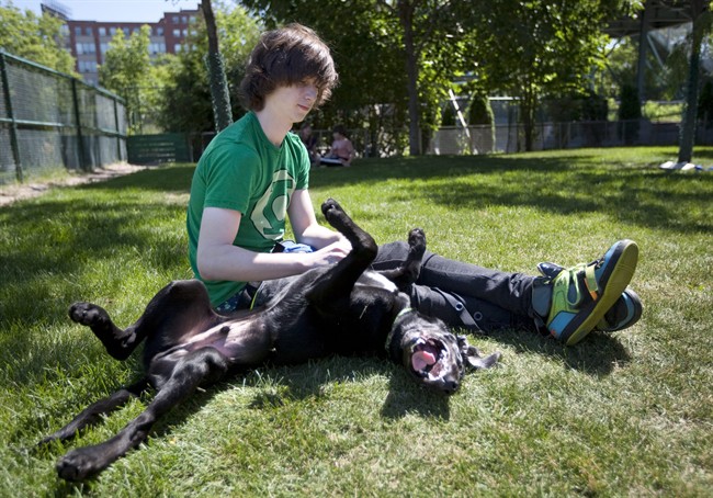 Pawsitively Pets camper Mackenzie Makos plays with a seven-month-old black Labrador named Quincy during the launch of the kids' pets camp at the Toronto Humane Society in Toronto Monday, July 4, 2011. THE CANADIAN PRESS/Darren Calabrese.