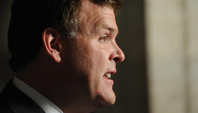 Foreign Affairs Minister John Baird speaks to reporters in the Foyer of the House of Commons on Parliament Hill in Ottawa on Tuesday, July 5, 2011.
