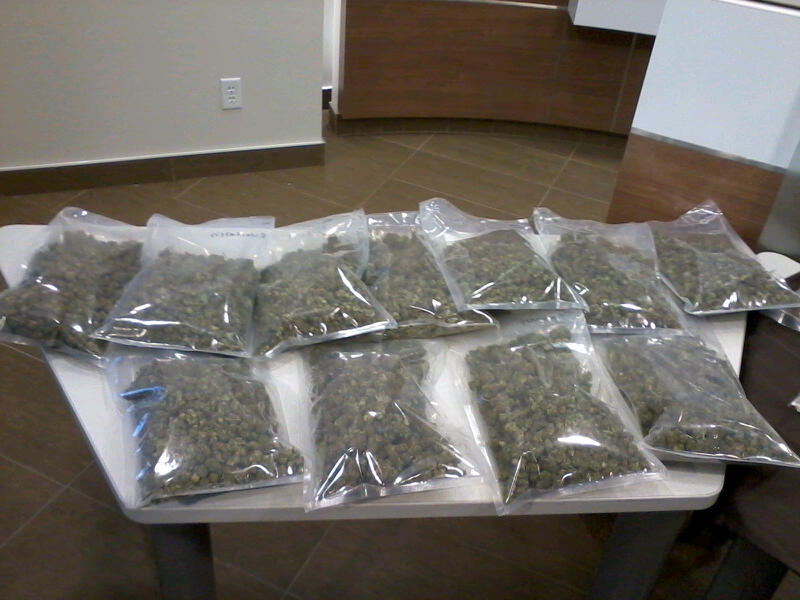 Edmonton drug bust linked to organized crime - image