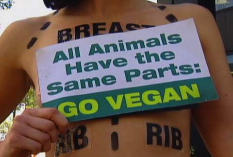 PETA protest in the flesh - image