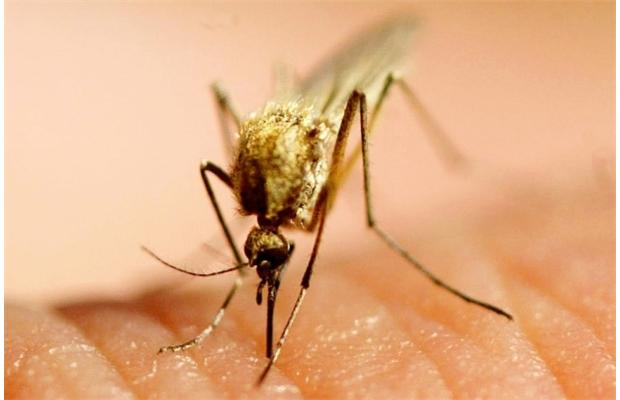 Health Canada has approved the use of Deltagard in Winnipeg's battle against mosquitoes.
